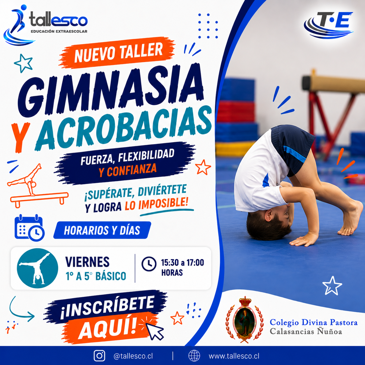 Gimnasia y Acrobacias 2 Gimnasia y Acrobacias Colegio Divina Pastora Ñuñoa Segundo Semestre - Imagen 1